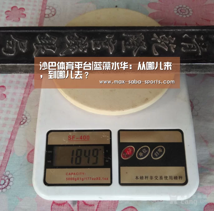 沙巴体育平台|蓝藻水华:从哪儿来,到哪儿去?(图1) 沙巴体育平台