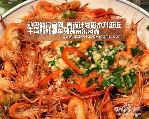 沙巴体育官网_青流计划版本升级近千辆新能源车列装京东物流(图1) 沙巴体育官网