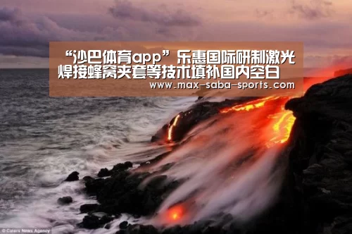 “沙巴体育app”乐惠国际研制激光焊接蜂窝夹套等技术填补国内空白(图1) 沙巴体育官网