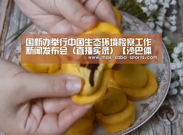 国新办举行中国生态环境检察工作新闻发布会(直播实录)【沙巴体育平台】(图3) 沙巴体育