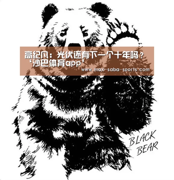 高纪凡:光伏还有下一个十年吗?‘沙巴体育app’(图4) 沙巴体育