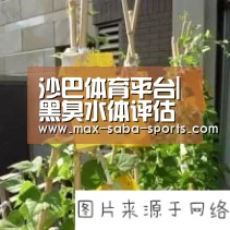 沙巴体育平台|黑臭水体评估要以评促治(图4) 沙巴体育app