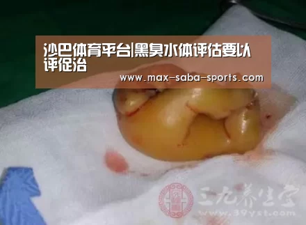 沙巴体育平台|黑臭水体评估要以评促治(图1) 沙巴体育平台