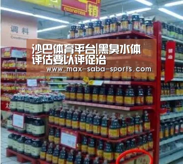 沙巴体育平台|黑臭水体评估要以评促治(图2) 沙巴体育